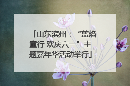 山东滨州：“蓝焰童行 欢庆六一”主题嘉年华活动举行