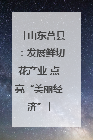 山东莒县：发展鲜切花产业 点亮“美丽经济”