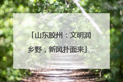 山东胶州：文明润乡野，新风扑面来