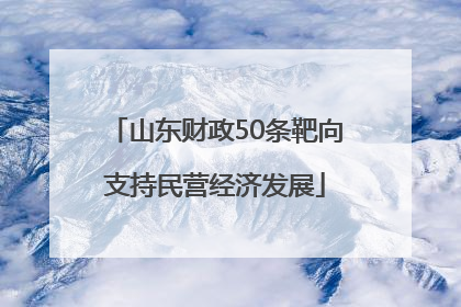 山东财政50条靶向支持民营经济发展