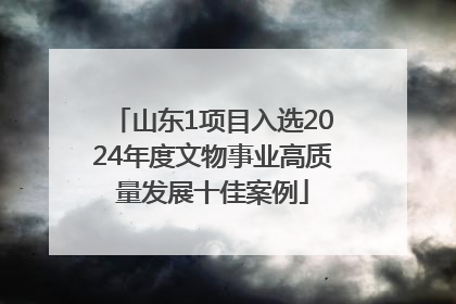 山东1项目入选2024年度文物事业高质量发展十佳案例
