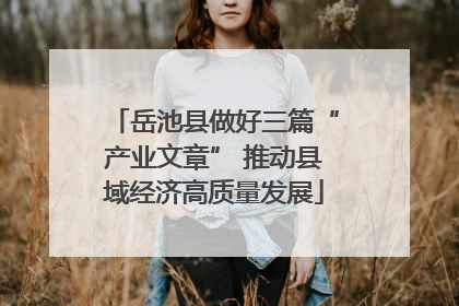 岳池县做好三篇“产业文章” 推动县域经济高质量发展