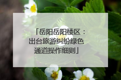 岳阳岳阳楼区：出台旅游纠纷绿色通道操作细则