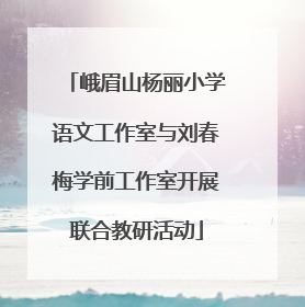 峨眉山杨丽小学语文工作室与刘春梅学前工作室开展联合教研活动