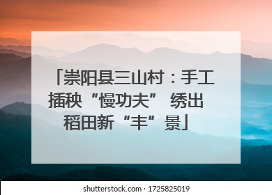 崇阳县三山村：手工插秧“慢功夫” 绣出稻田新“丰”景