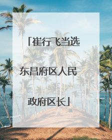 崔行飞当选东昌府区人民政府区长