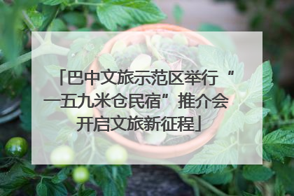 巴中文旅示范区举行“一五九米仓民宿”推介会 开启文旅新征程