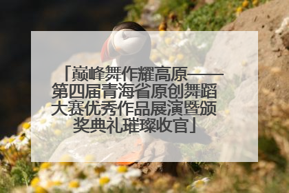 巅峰舞作耀高原——第四届青海省原创舞蹈大赛优秀作品展演暨颁奖典礼璀璨收官