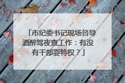 市纪委书记现场督导酒醉驾夜查工作：有没有干部耍特权？