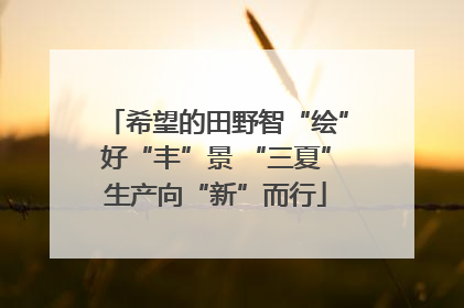 希望的田野智“绘”好“丰”景 “三夏”生产向“新”而行