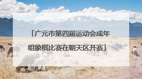 广元市第四届运动会成年组象棋比赛在朝天区开赛