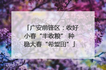 广安前锋区：收好小春“丰收粮” 种稳大春“希望田”