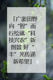 广袤田野向“智”而行绘就“科技兴农”新图景 好“丰”光传递新希望