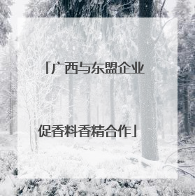 广西与东盟企业促香料香精合作