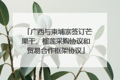 广西与柬埔寨签订芒果干、榴莲采购协议和贸易合作框架协议