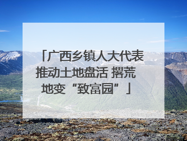 广西乡镇人大代表推动土地盘活 撂荒地变“致富园”