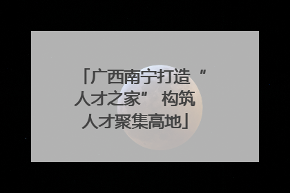 广西南宁打造“人才之家” 构筑人才聚集高地