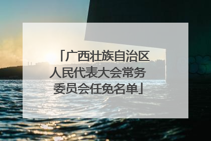 广西壮族自治区人民代表大会常务委员会任免名单