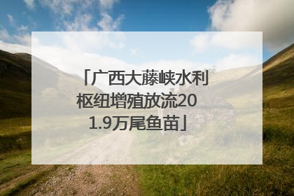 广西大藤峡水利枢纽增殖放流201.9万尾鱼苗