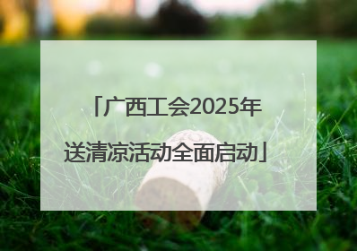 广西工会2025年送清凉活动全面启动