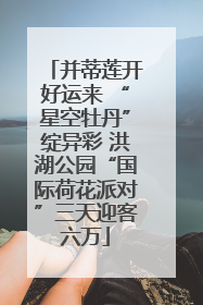 并蒂莲开好运来 “星空牡丹”绽异彩 洪湖公园“国际荷花派对”三天迎客六万