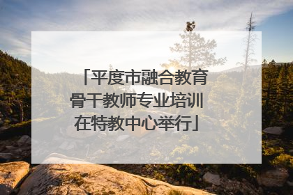 平度市融合教育骨干教师专业培训在特教中心举行