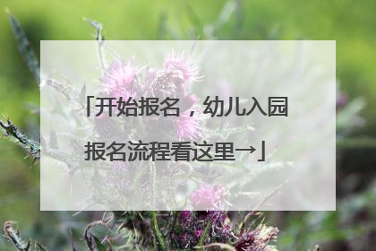 开始报名，幼儿入园报名流程看这里→