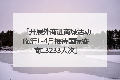 开展外商进商城活动 临沂1-4月接待国际客商13233人次