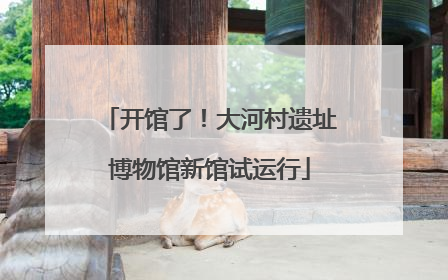 开馆了！大河村遗址博物馆新馆试运行