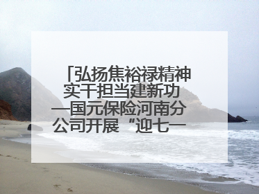 弘扬焦裕禄精神 实干担当建新功—国元保险河南分公司开展“迎七一”主题党日活动