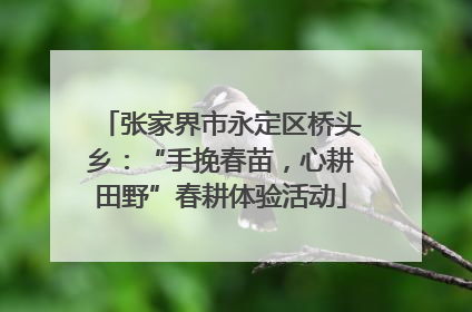 张家界市永定区桥头乡：“手挽春苗，心耕田野”春耕体验活动