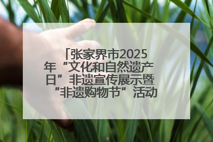 张家界市2025年“文化和自然遗产日”非遗宣传展示暨“非遗购物节”活动在慈利县盛大启幕