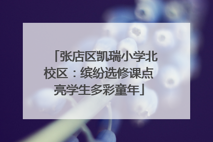 张店区凯瑞小学北校区：缤纷选修课点亮学生多彩童年