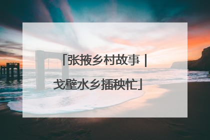 张掖乡村故事｜戈壁水乡插秧忙