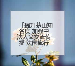 提升茅山知名度 加强中法人文交流传播 法国旅行商踩线茅山“道养文化产品”