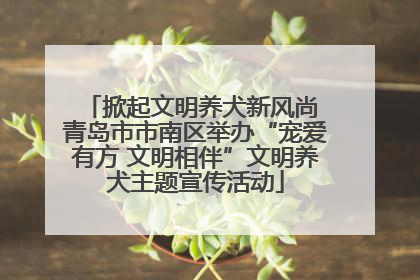 掀起文明养犬新风尚 青岛市市南区举办“宠爱有方 文明相伴”文明养犬主题宣传活动