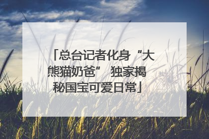 总台记者化身“大熊猫奶爸” 独家揭秘国宝可爱日常