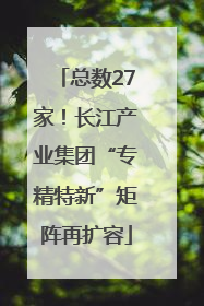 总数27家！长江产业集团“专精特新”矩阵再扩容