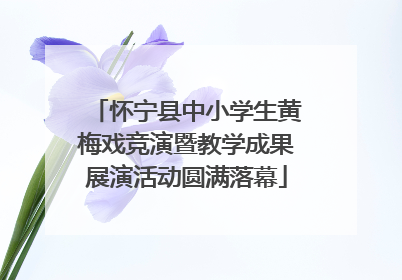 怀宁县中小学生黄梅戏竞演暨教学成果展演活动圆满落幕