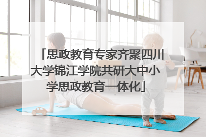 思政教育专家齐聚四川大学锦江学院共研大中小学思政教育一体化