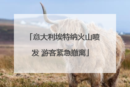 意大利埃特纳火山喷发 游客紧急撤离