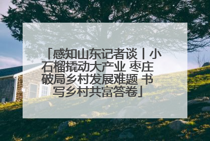 感知山东记者谈丨小石榴撬动大产业 枣庄破局乡村发展难题 书写乡村共富答卷