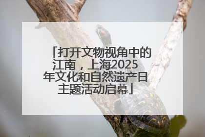 打开文物视角中的江南，上海2025年文化和自然遗产日主题活动启幕