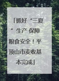 抓好“三夏”生产 保障粮食安全！平顶山市麦收基本完成