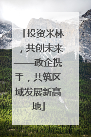 投资米林，共创未来——政企携手，共筑区域发展新高地
