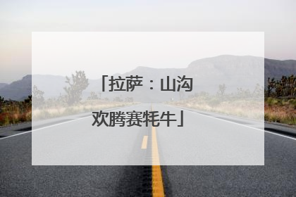 拉萨：山沟欢腾赛牦牛