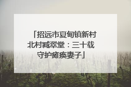 招远市夏甸镇新村北村臧翠堂：三十载守护瘫痪妻子