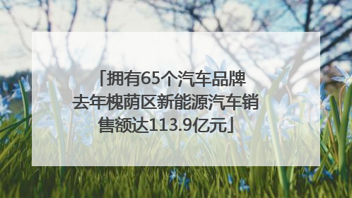 拥有65个汽车品牌 去年槐荫区新能源汽车销售额达113.9亿元