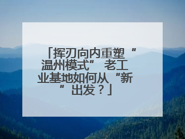挥刃向内重塑“温州模式” 老工业基地如何从“新”出发？