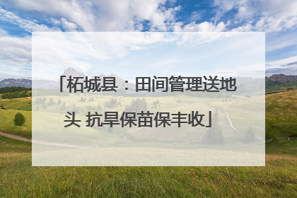 柘城县：田间管理送地头 抗旱保苗保丰收